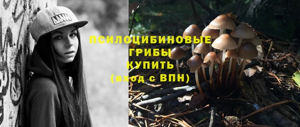 таблы Верхний Тагил
