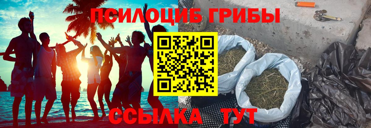 Псилоцибиновые грибы GOLDEN TEACHER Воскресенск