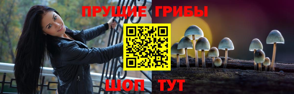 Галлюциногенные грибы Cubensis  Псилоцибиновые грибы Cubensis  Вход с VPN  Воскресенск 